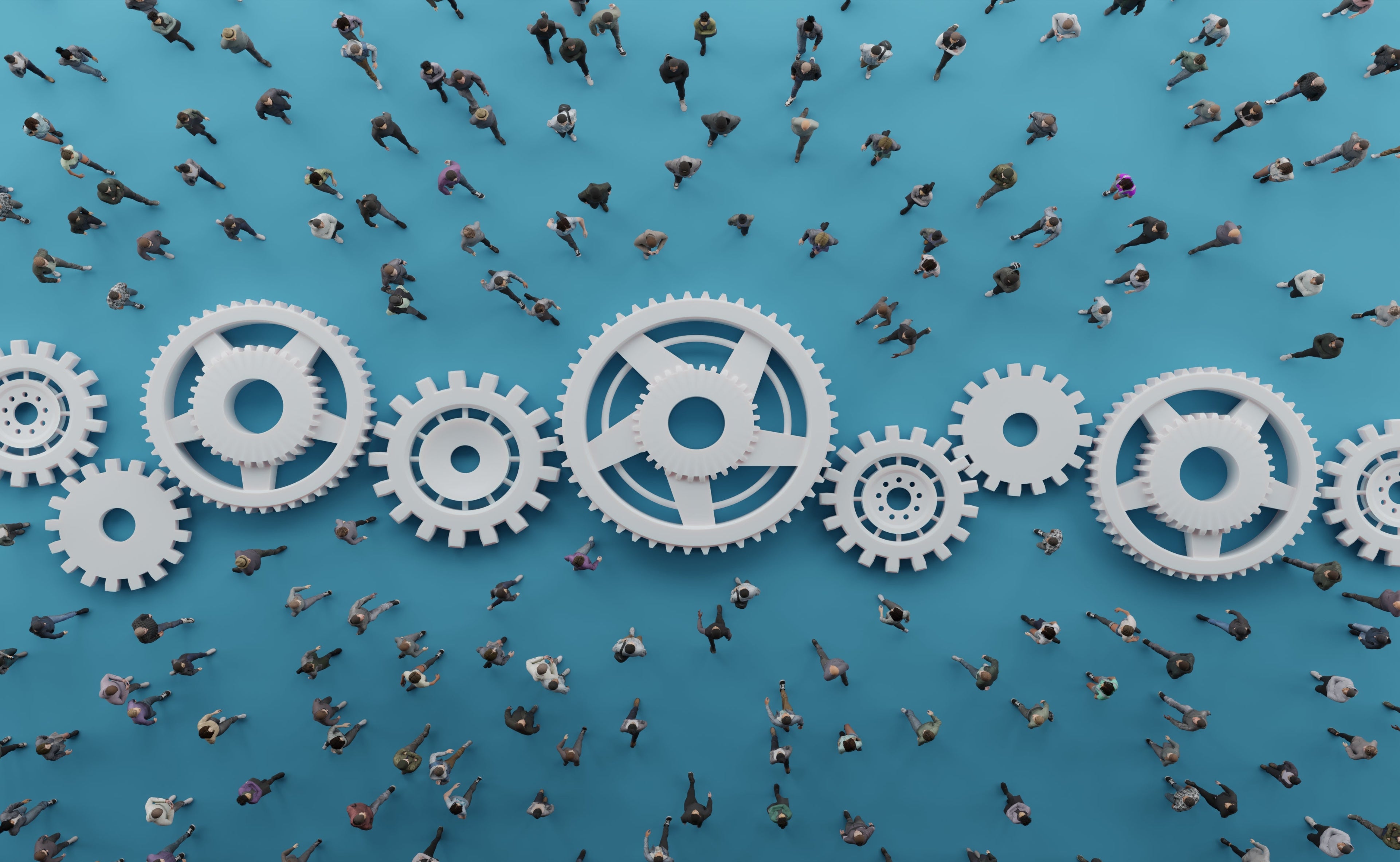 Operational Excellence & Staff Efficiency